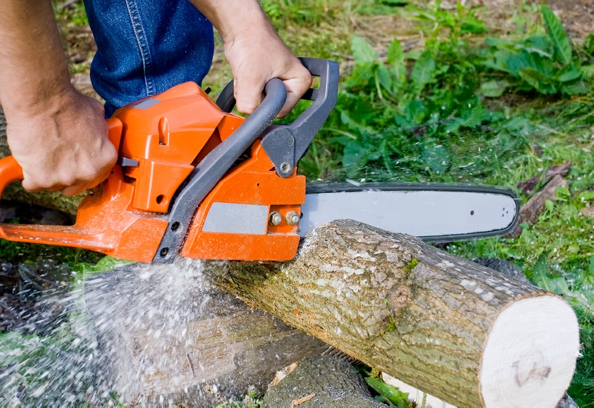 Tree Removal, Tree Surgeons, Tree Stump Removal, Tree Surgery West Bromwich, Tree Stump Removal Cost, Tree Felling, Price For Tree Removal